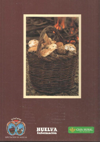 Artes, Costumbres y Riquezas de la provincia de Huelva tapas para volumen cuarto