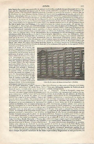LAMINA ESPASA 20005: Coleccion de craneos del Museo Antropologico de Madrid
