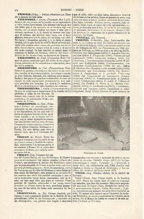 LAMINA ESPASA 20409: Gargantas de Trient