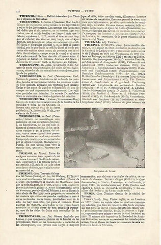 LAMINA ESPASA 20409: Gargantas de Trient