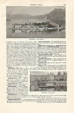 LAMINA ESPASA 20880: Vista general de Isola Bella Italia