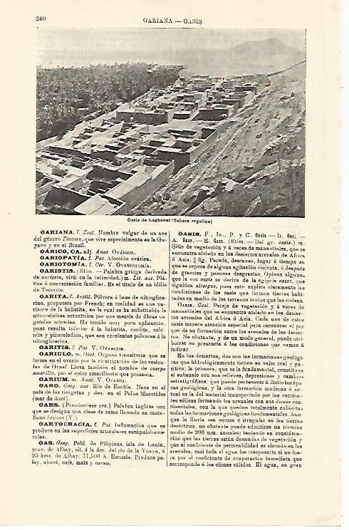 LAMINA ESPASA 21227: Oasis de Laghonat (Argelia)