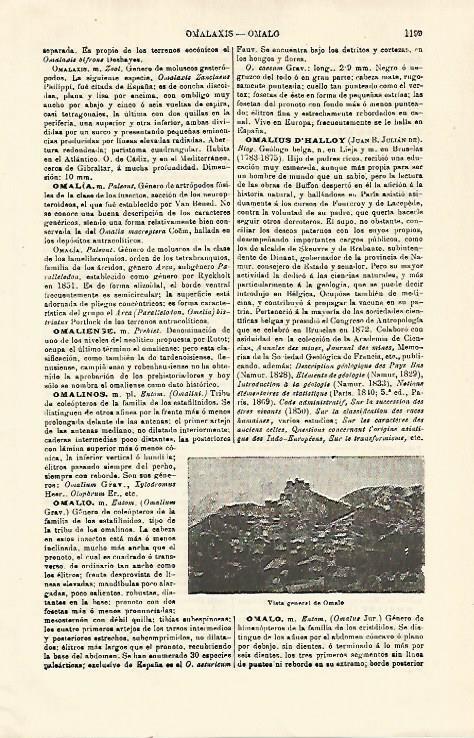 LAMINA ESPASA 21394: Vista de Omalo