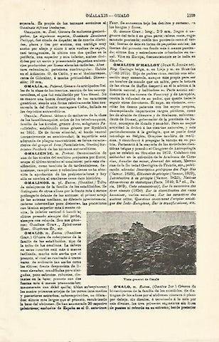 LAMINA ESPASA 21394: Vista de Omalo