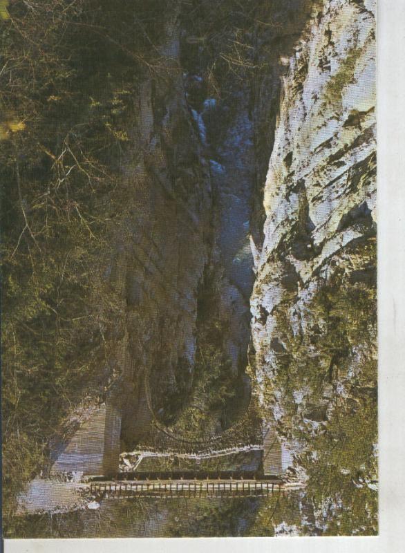 Postal 015725: Puente de San Urbez sobre el rio Bellos en el valle de añisclo