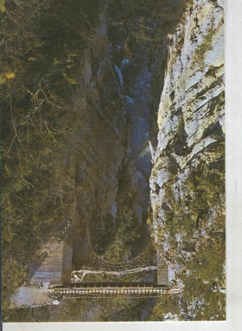 Postal 015725: Puente de San Urbez sobre el rio Bellos en el valle de añisclo