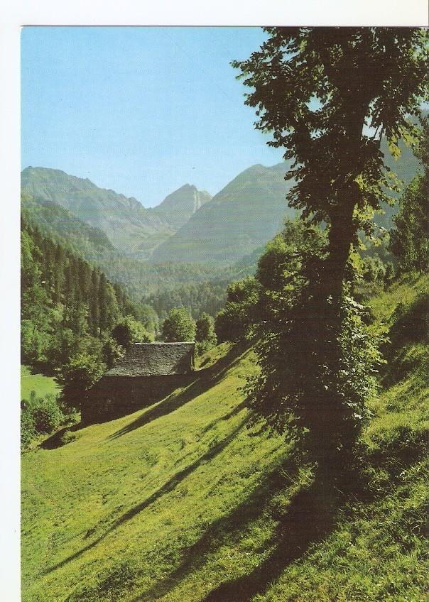Postal 044969 : Valle de Aran. Artiga de Lin