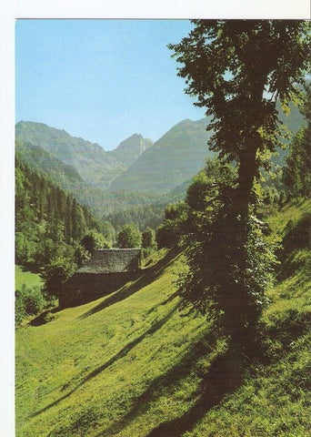 Postal 044969 : Valle de Aran. Artiga de Lin