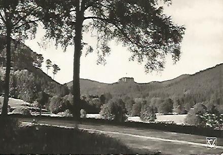 POSTAL 17744: VALLEE  DE LA SAUER