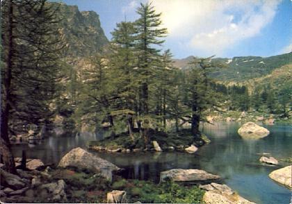POSTAL 56140: Vallee des merveilles (Alpes-Maritimes) Lac Vert de Fontanalbe