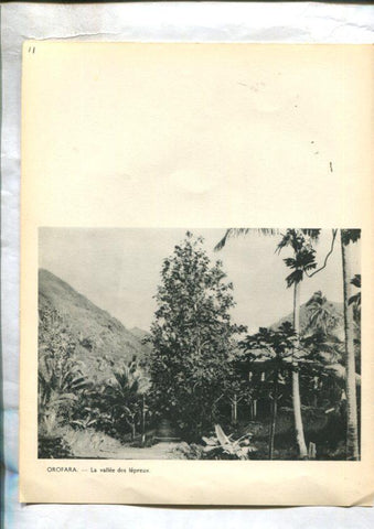 Tahiti: lamina 11: Entree de la leproserie Orofara y Orofara: la vallee des lepreux