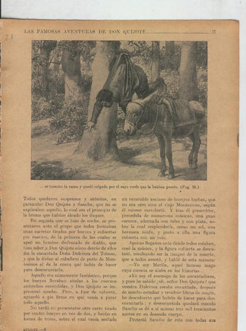 Las famosas aventuras de Don Quijote lamina 21