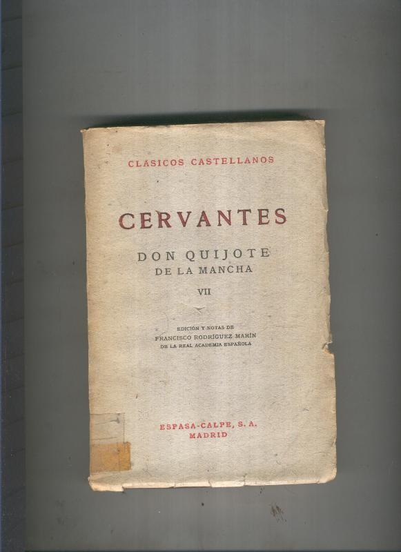 Don Quijote de La Mancha VII