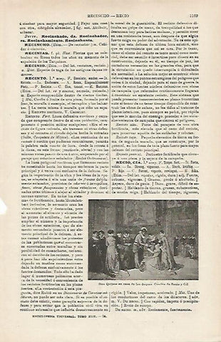 LAMINA ESPASA 16026: Don Quijote en casa de los duques por Recio y Gil