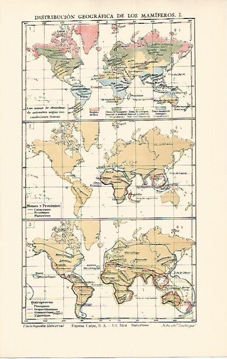 LAMINA ESPASA 1668: Mapas mundiales de la distribucion geografica de los mamiferos