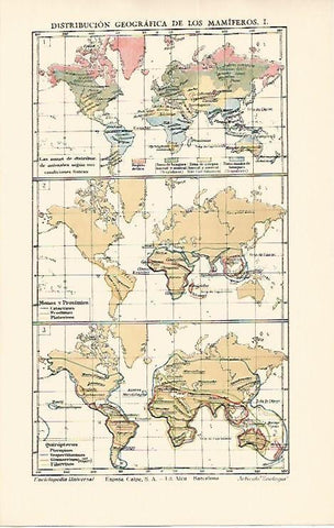 LAMINA ESPASA 1668: Mapas mundiales de la distribucion geografica de los mamiferos