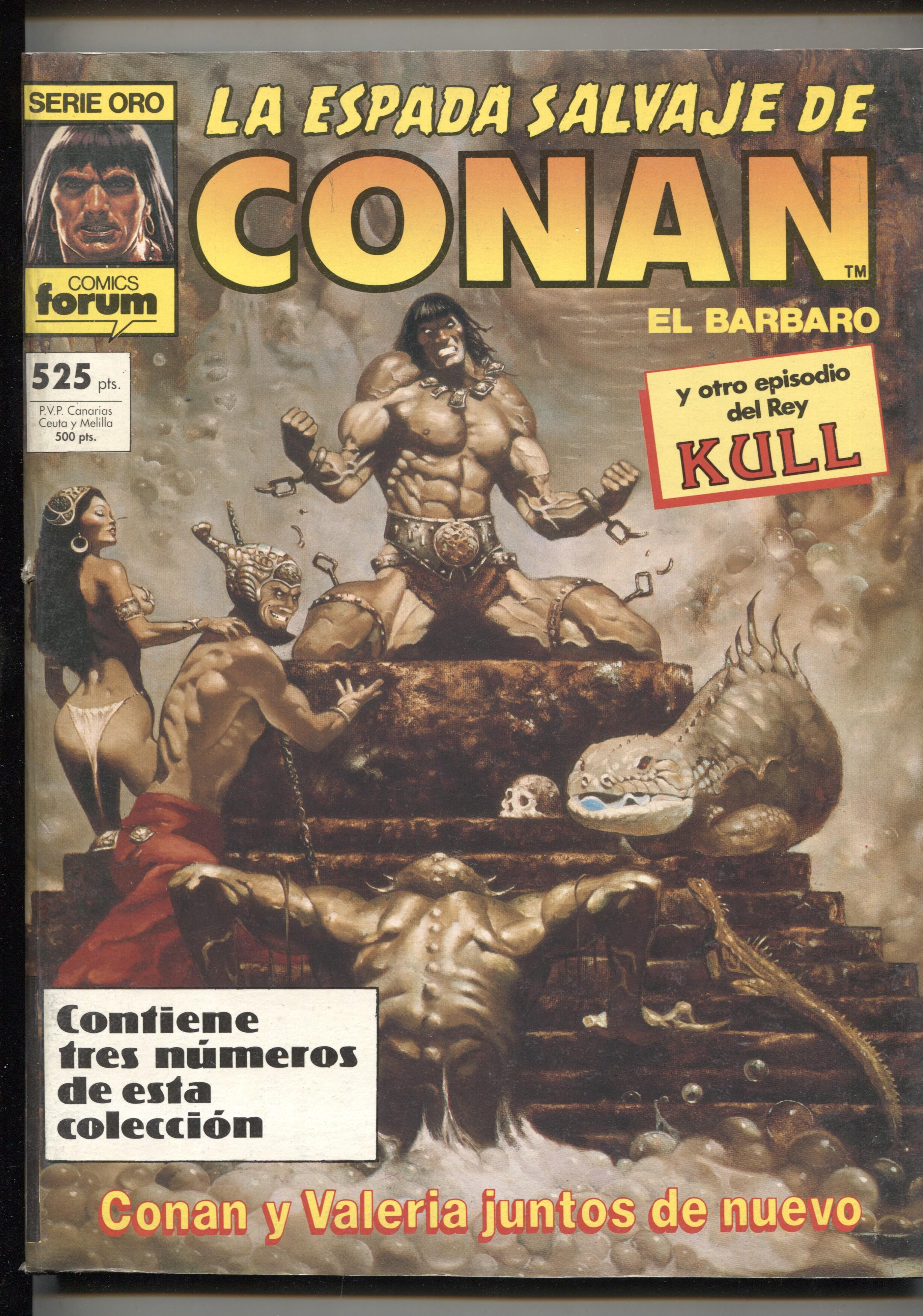 La Espada Salvaje de Conan primera edicion retapado numero 065 al 067