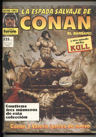 La Espada Salvaje de Conan primera edicion retapado numero 065 al 067