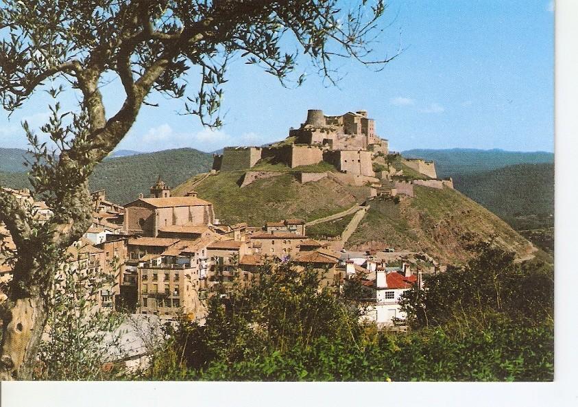 Postal 028306 : Cardona (Barcelona), Ruta Cardener - Urgellet