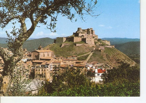 Postal 028306 : Cardona (Barcelona), Ruta Cardener - Urgellet