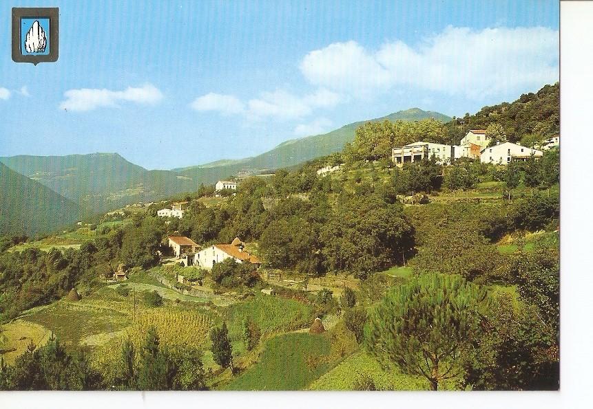 Postal 031226 : Montseny (Barcelona). Vista general al fondo el Matagalls