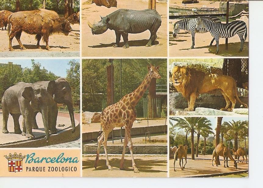 Postal 035470 : Barcelona. Parque Zoologico
