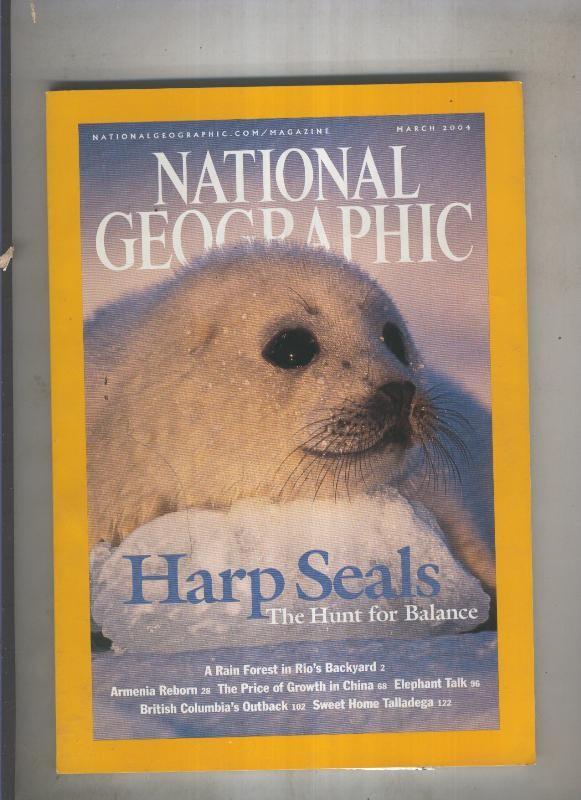 National geographic 2004 march Harp seals the hunt for balance 