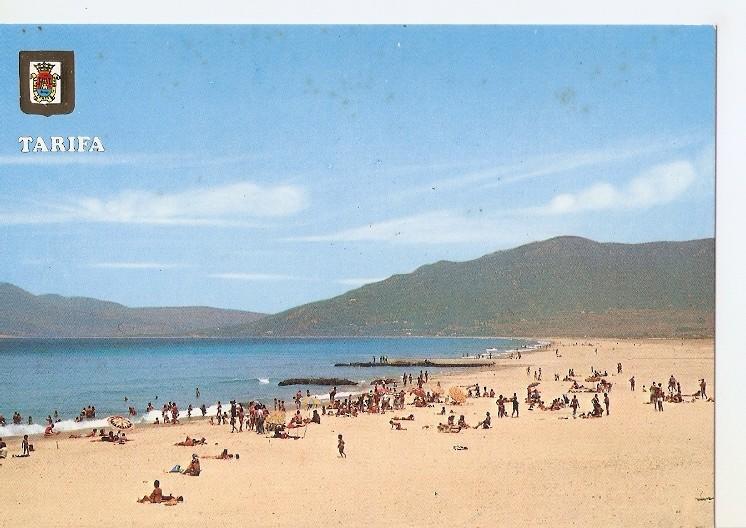 Postal 049832 : Tarifa (Cadiz). Vista de la magnifica y extensa playa de los Lances