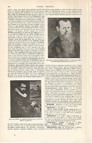 LAMINA ESPASA 28858: Retrato de Andres Vesalius