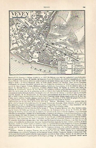 LAMINA ESPASA 28877: Plano de Vevey Suiza