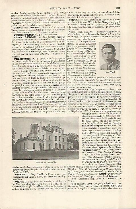 LAMINA ESPASA 29149: Castillo de Cinceuil Francia