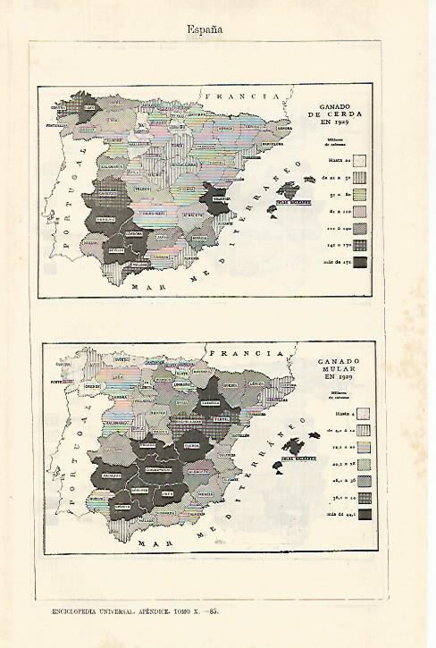 LAMINA ESPASA 29174: Mapa de España del ganado de cerda y mular en 1929