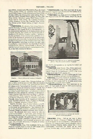 LAMINA ESPASA 29214: Vistas de Treviso Italia