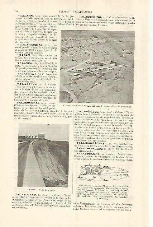 LAMINA ESPASA 29244: Desierto cercano a Talara Peru