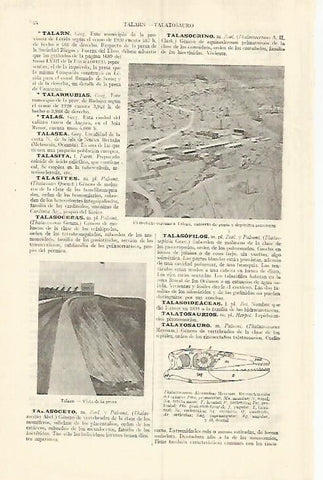 LAMINA ESPASA 29244: Desierto cercano a Talara Peru