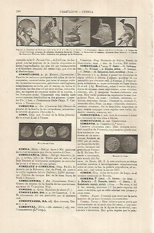 LAMINA ESPASA 29284: Monedas de Cimo y Cimeras de cascos antiguos