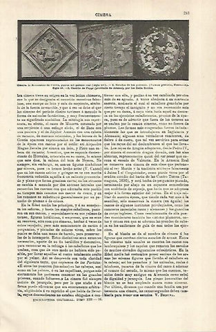 LAMINA ESPASA 29285: Cimera