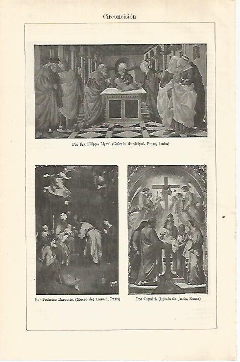 LAMINA ESPASA 29301: Circuncision por Fra Filippo Lippi y Baroccio