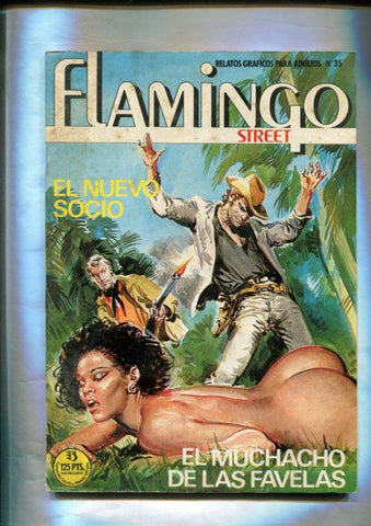 Flamingo street numero 35