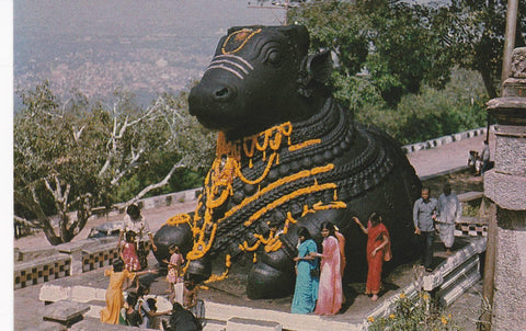 POSTAL B6134: INDIA: BULL ON CHAMUNDI HILL