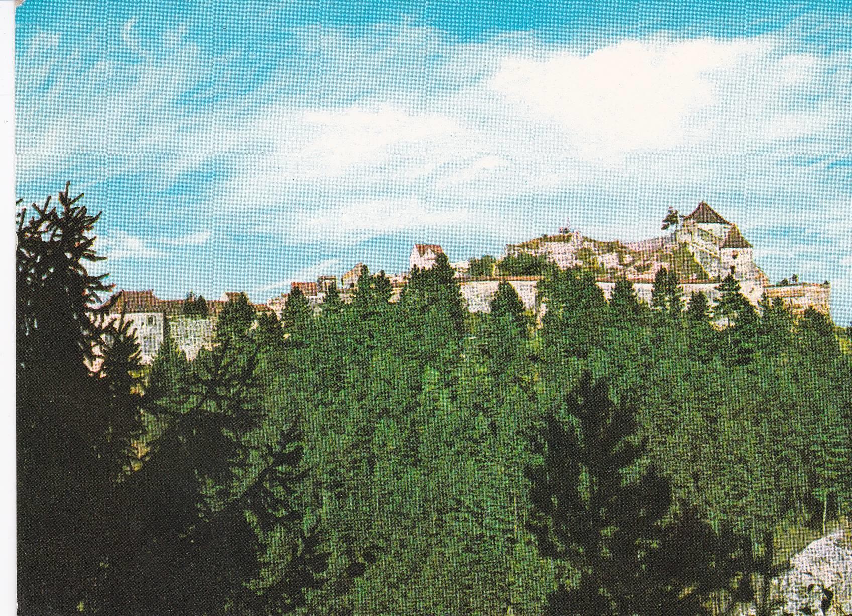 POSTAL B6135: RISNOV: CETATEA
