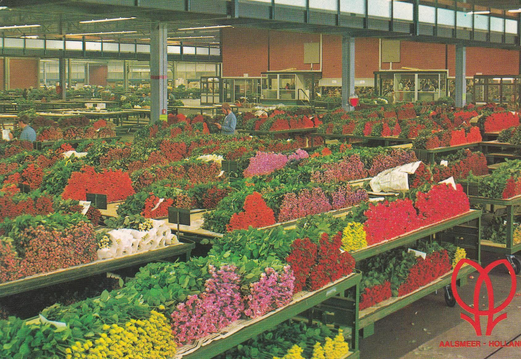 POSTAL B6141: ROMANIA: MERCADO DE FLORES