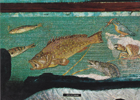 POSTAL B6157: AMPURIES: MOSAICO DE LOS PECES