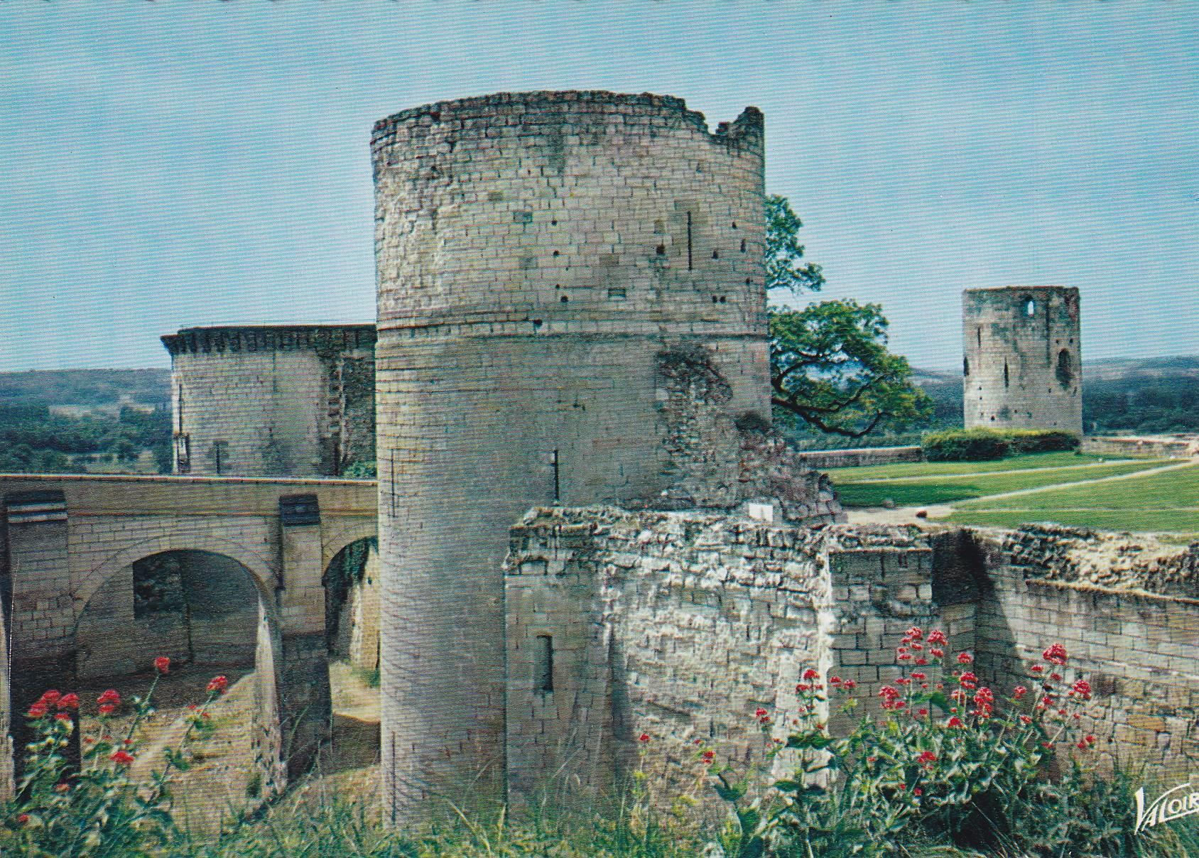 POSTAL B6183: LOIRA: CHINON