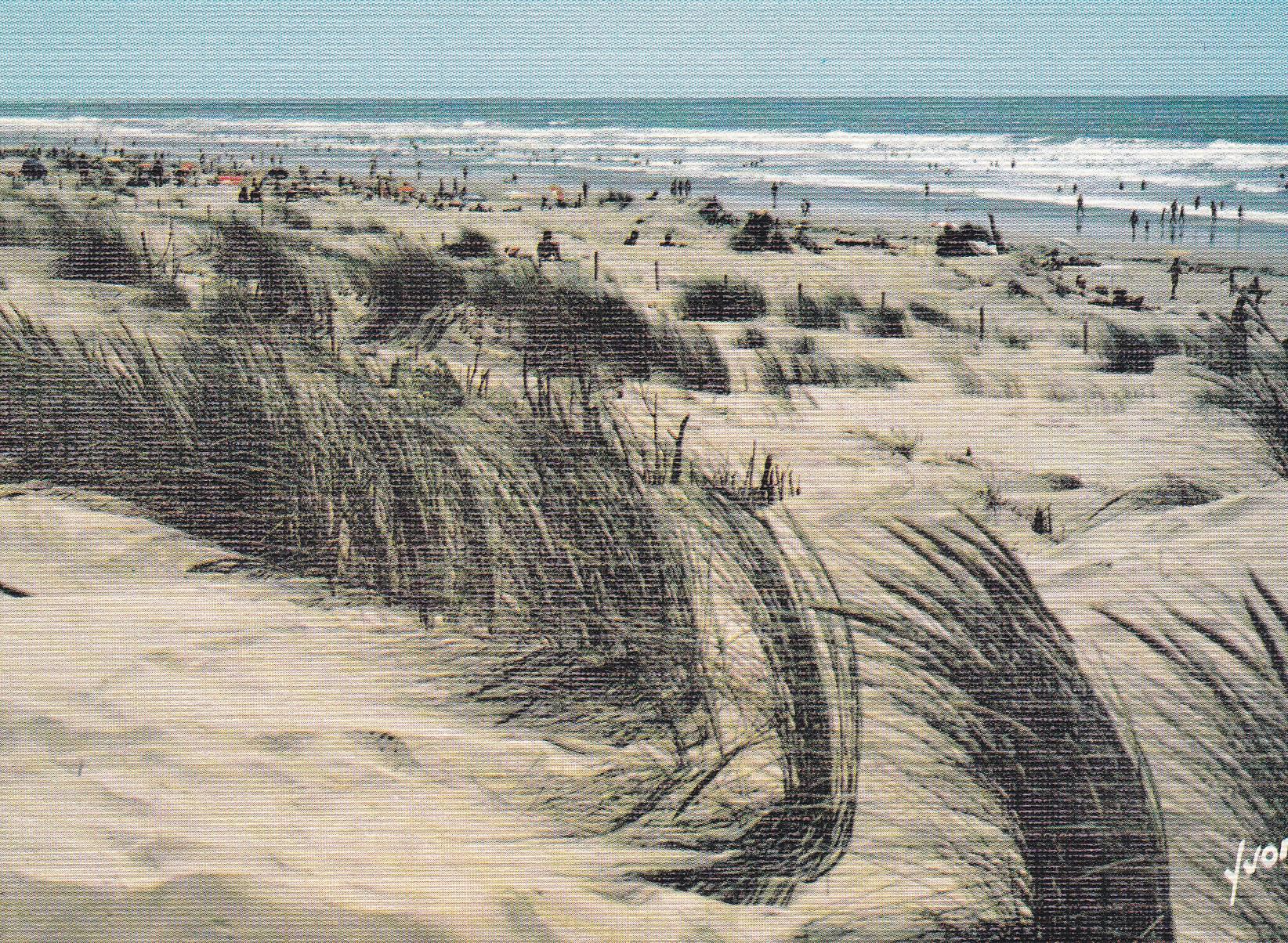 POSTAL B6222: FRANCIA: PLAYA DE DUNAS