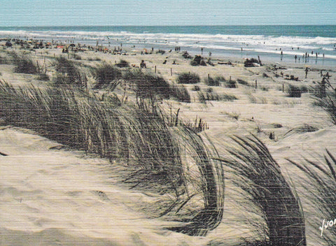 POSTAL B6222: FRANCIA: PLAYA DE DUNAS