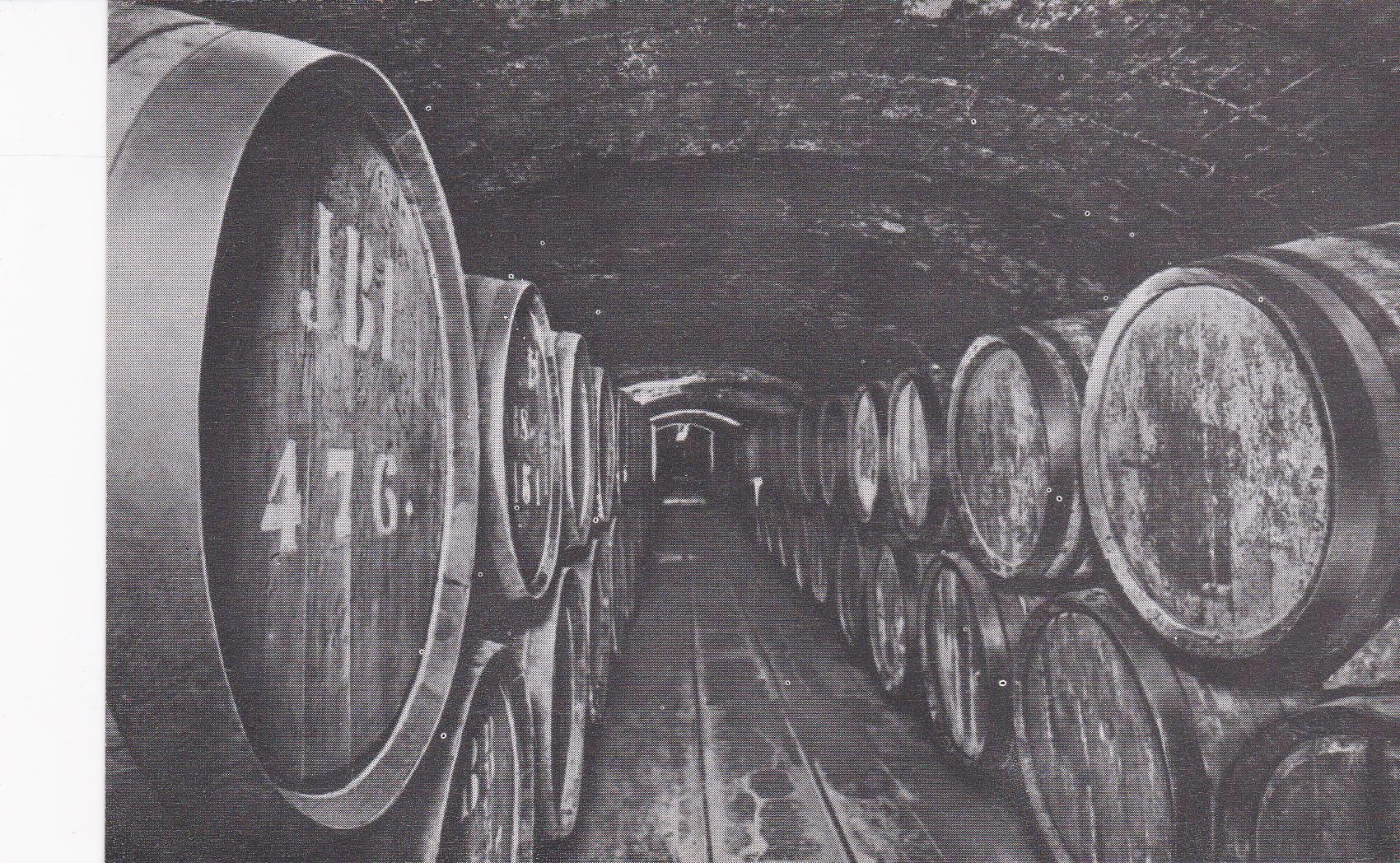 POSTAL B6238: CASA CODORNIU: VINOS DE CRIANZA
