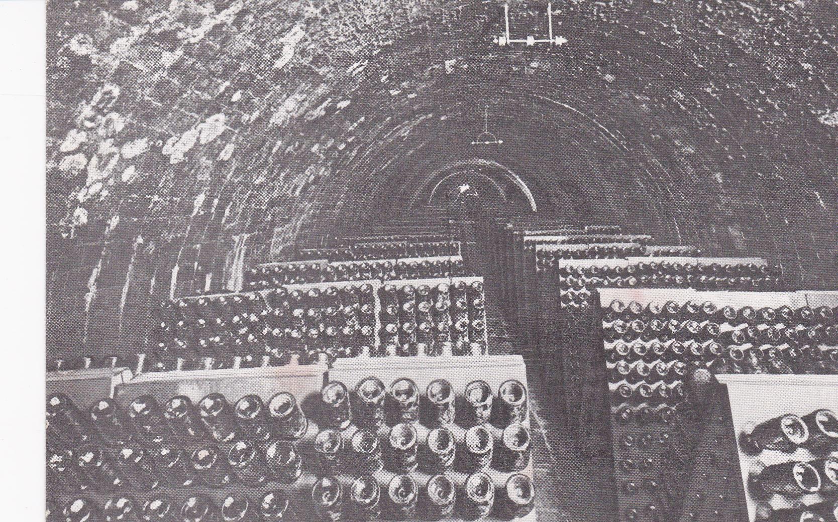 POSTAL B6239: CASA CODORNIU: BOTELLAS EN PUPITRES