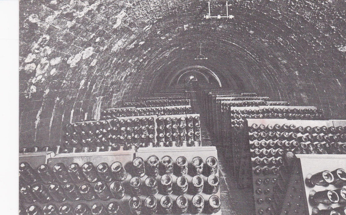 POSTAL B6239: CASA CODORNIU: BOTELLAS EN PUPITRES