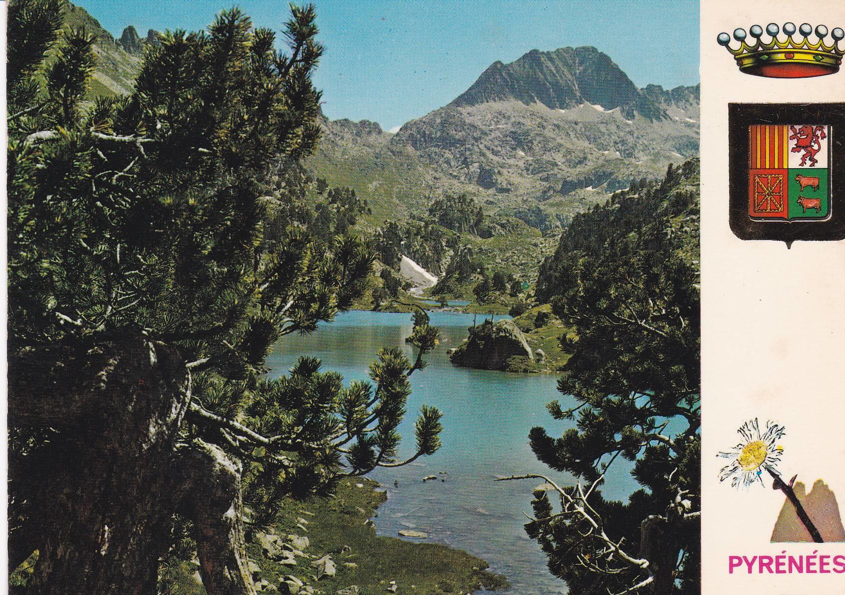 POSTAL B6263: PIRINEOS: MONTAGNARD